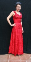Beautiful Red Evening Dress (Front)