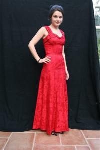 Beautiful Red Evening Dress (Front)