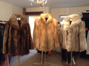 Three Furs Front